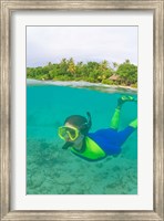 Snorkeling, Picnic island, Viti Levu Fiji Fine Art Print