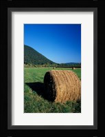 Hay Bales in Litchfield Hills, Connecticut Fine Art Print