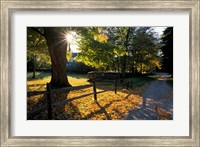 Yard of the Main House on Henderson Property in Litchfield Hills, New Milford, Connecticut Fine Art Print