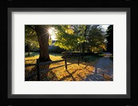 Yard of the Main House on Henderson Property in Litchfield Hills, New Milford, Connecticut Fine Art Print