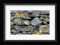 Yard of the Main House on Henderson property, Litchfield Hills, New Milford, Connecticut Fine Art Print