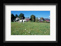 Woman Riding Horseback on Skiff Mountain, Litchfield Hills, Connecticut Fine Art Print