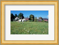 Woman Riding Horseback on Skiff Mountain, Litchfield Hills, Connecticut Fine Art Print