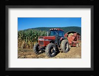 Tractor and Corn Field in Litchfield Hills, Connecticut Fine Art Print
