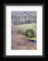Spring Forest in East Haddam, Connecticut Fine Art Print