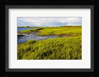 Salt Marsh side of Long Beach,  Stratford, Connecticut Fine Art Print
