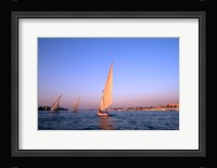 Beautiful Sailboats Riding Along the Nile River, Cairo, Egypt Fine Art Print
