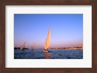 Beautiful Sailboats Riding Along the Nile River, Cairo, Egypt Fine Art Print