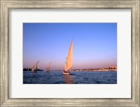 Beautiful Sailboats Riding Along the Nile River, Cairo, Egypt Fine Art Print