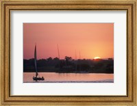 Traditional Egyptian Falucca, Nile River, Luxor, Egypt Fine Art Print