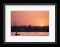 Traditional Egyptian Falucca, Nile River, Luxor, Egypt Fine Art Print