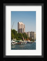 Nile River, Cairo, Egypt, North Africa Fine Art Print