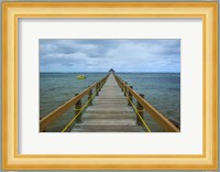 Long wooden pier, Coral Coast, Fiji, South Pacific Fine Art Print