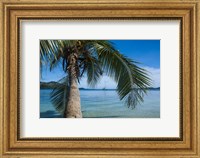 Palm tree over clear waters around Nanuya Lailai Island, Blue Lagoon, Yasawa, Fiji, South Pacific Fine Art Print