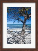 Hammock on the beach of a resort, Nacula Island, Yasawa, Fiji, South Pacific Fine Art Print