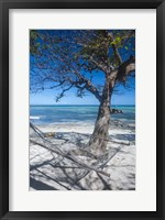 Hammock on the beach of a resort, Nacula Island, Yasawa, Fiji, South Pacific Fine Art Print