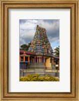 Sri Siva Subramaniya Hindu temple in Fiji Fine Art Print