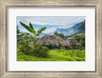 Traditional thatched roofed huts in Navala, Fiji Fine Art Print