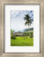 Traditional thatched roofed huts in Navala in the Ba Highlands of Viti Levu, Fiji, South Pacific Fine Art Print