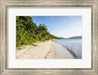 White sandy beach, Fiji Fine Art Print