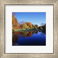 Trees in a golf course, Patterson Club, Fairfield, Connecticut Fine Art Print