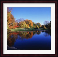 Trees in a golf course, Patterson Club, Fairfield, Connecticut Fine Art Print