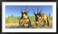 A flock of Pterodactylus fly above two Styracosaurus Dinosaurs Fine Art Print