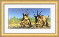A flock of Pterodactylus fly above two Styracosaurus Dinosaurs Fine Art Print