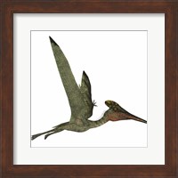 Pterodactylus Flying Reptile Fine Art Print