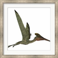 Pterodactylus Flying Reptile Fine Art Print