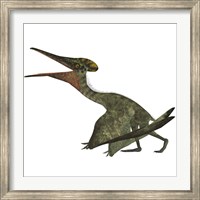 Flying Pterodactylus  Reptile Fine Art Print