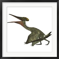 Flying Pterodactylus  Reptile Fine Art Print