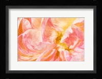 A New Perspective Framed Print