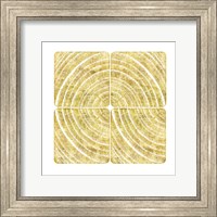 Tree Ring Triptych I Fine Art Print