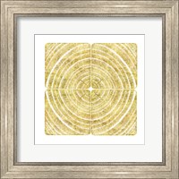 Tree Ring Triptych II Fine Art Print