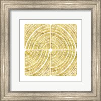 Tree Ring Triptych III Fine Art Print