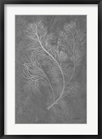 Fern Algae Silver on Black 2 Fine Art Print