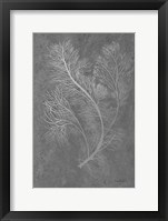 Fern Algae Silver on Black 2 Framed Print