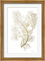 Fern Algae Gold on White 2 Fine Art Print