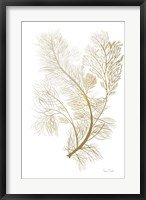 Fern Algae Gold on White 2 Fine Art Print