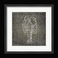 Lobster Geometric Silver Framed Print
