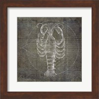 Lobster Geometric Silver Fine Art Print