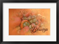 Blessings Framed Print