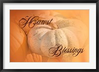 Harvest Blessings II Fine Art Print