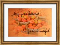 Harvest Wish Fine Art Print