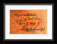 Harvest Wish Framed Print