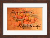 Harvest Wish Fine Art Print