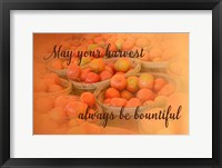 Harvest Wish Framed Print