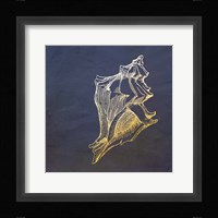 Golden Seashell Framed Print