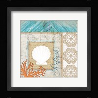 Coastal Scallop Fine Art Print